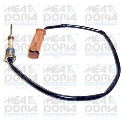 Sensor, exhaust gas temperature